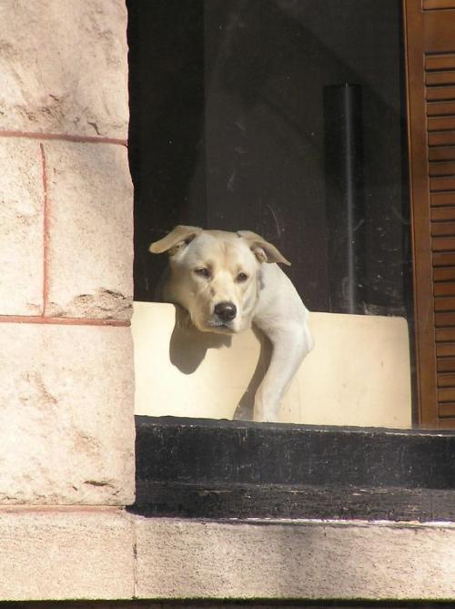 Все интересные факты обо всем. Интересные факты - новые посты 18 Все интересные факты обо всем. Интересные факты - новые посты 18