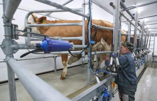 Удивительные секреты: 5 фактов о молочных продуктах, которые вы не знали 03 Удивительные секреты: 5 фактов о молочных продуктах, которые вы не знали 03