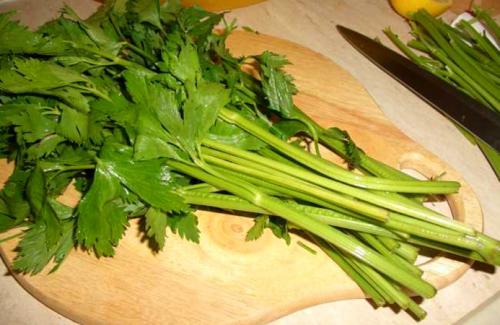 Соленые продукты от природы. Начните с салатов