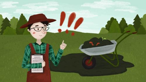 Строение дождевого червя