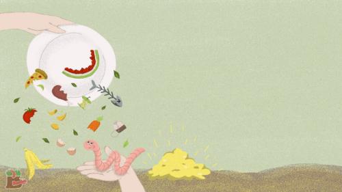 Строение дождевого червя