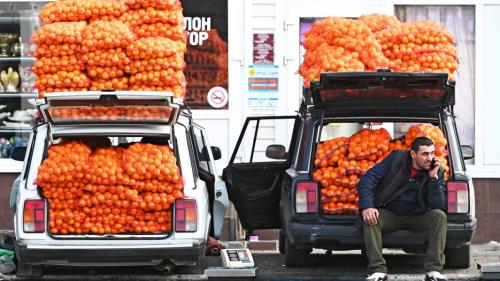 Мандарины: открытие, история и интересные факты 02