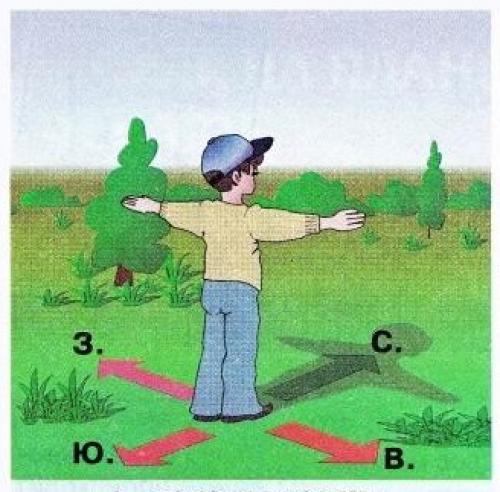 Компас онлайн – определить стороны света в квартире