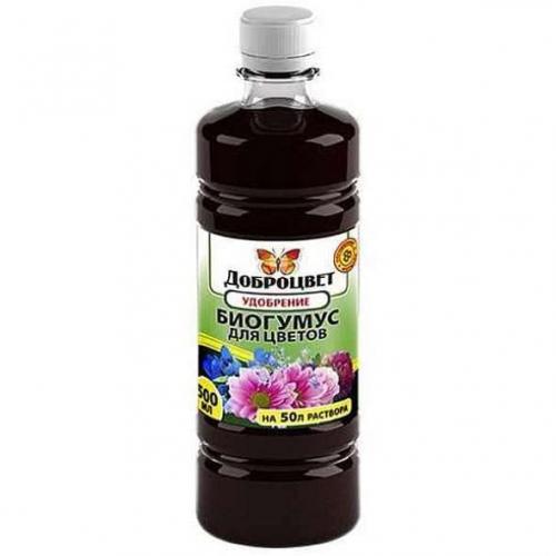 Антуриум уход в домашних условиях. Как ухаживать за антуриумом в домашних условиях после покупки