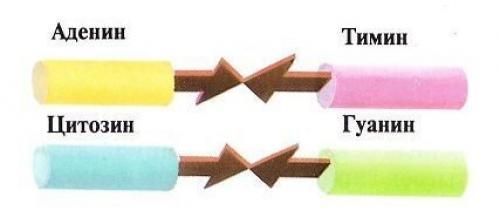 В метеоритах находят внеземную жизнь. Были ли еще подобные метеориты? 05