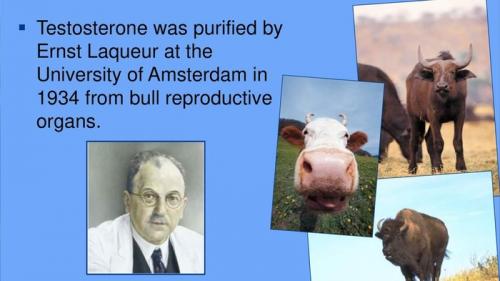 Интересные факты о стероидах. Анаболические стероиды: от истоков к современности. Часть 1