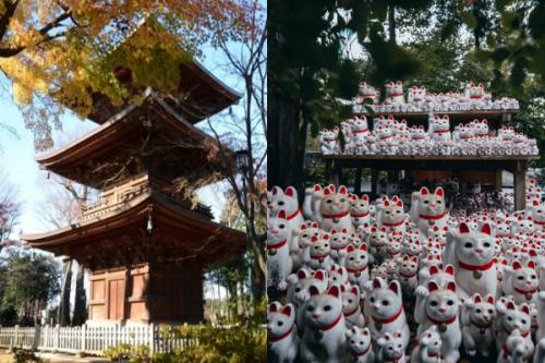 Символы удачи в японии. Что означает Манеки Неко: какой смысл заложен в фигуру