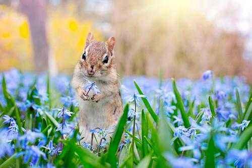 Природные явления перечислить. Примеры сезонных явлений живой и неживой природы