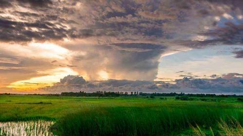 Природные явления перечислить. Примеры сезонных явлений живой и неживой природы