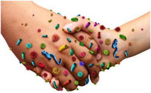 Как не заразиться коронавирусом в России: практические советы 02