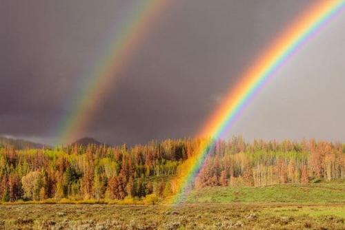 Радуга символ удачи. Что будет, если увидеть радугу?