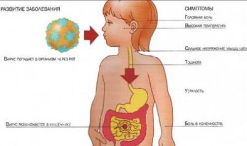 Профилактика новой коронавирусной инфекции: эффективные меры для вашей безопасности 01 Профилактика новой коронавирусной инфекции: эффективные меры для вашей безопасности 01