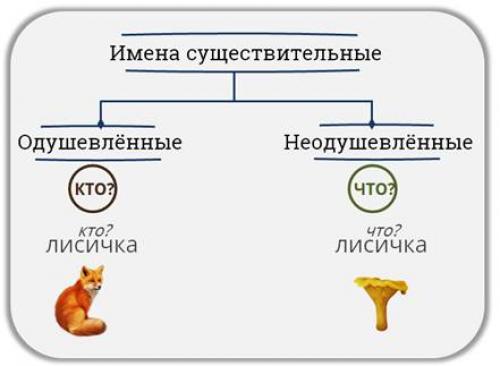 Какие существительные из третьей группы обозначают живых существ. Одушевлённые и неодушевлённые имена существительные