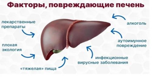 Боль в левом подреберье отдает в спину. Нарушение сердечной деятельности