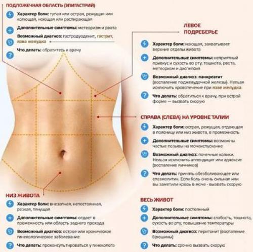 Боль и тяжесть в левом подреберье. Боль в левом подреберье 04