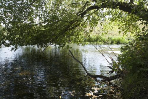 Какие памятные места связаны с поединком на Куликовом поле. На поле Куликовом