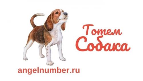 Собака символ чего. Тотемное животное Собака – характеристика и значение