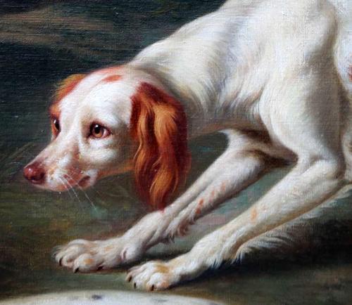 Собаки в образе людей. К чему снится собака: толкование снов 07