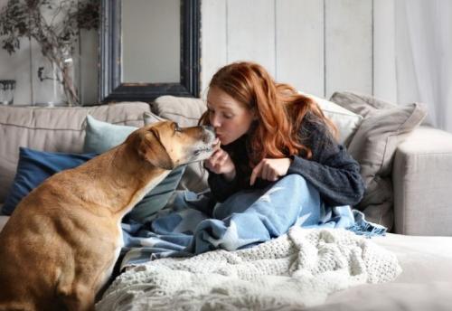 Символ собака в эзотерике. Общее значение символа — собаки