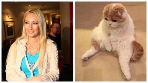 Русские знаменитости с котами. Звезды-кошатники и их питомцы