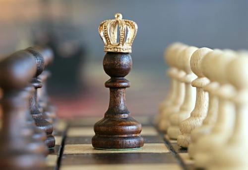 5 фактов о шахматах. 15 интересных фактов о шахматах