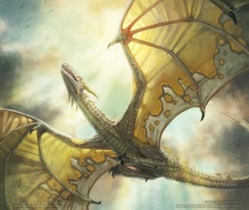 Самая крупная порода обезьян. Самые большие обезьяны в мире 09