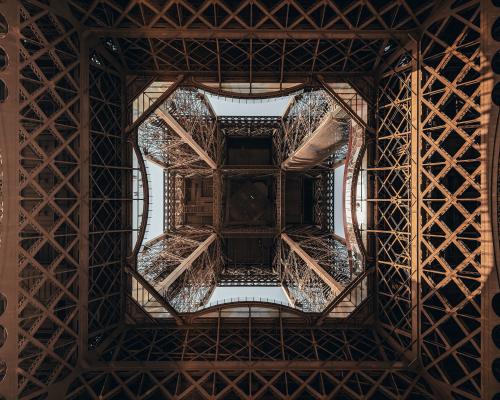 Самая крупная порода обезьян. Самые большие обезьяны в мире 08