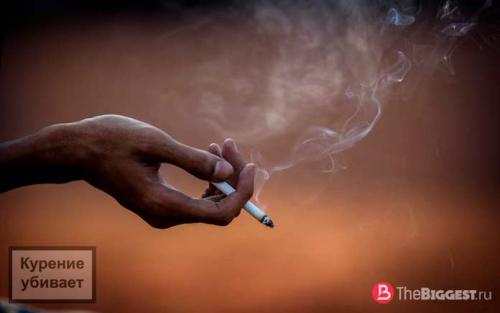 10 самых курящих стран. ТОП-10 самых курящих стран в мире
