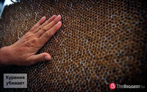 10 самых курящих стран. ТОП-10 самых курящих стран в мире