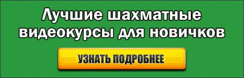 Лучшие шахматисты мира женщины. Чемпионки мира по шахматам среди женщин: полный список + партии