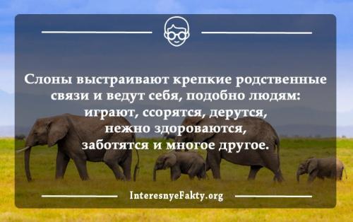 Интересные факты о жизни. Интересные факты жизни