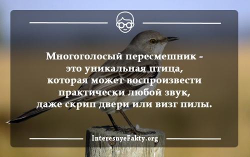 Интересные факты о жизни. Интересные факты жизни