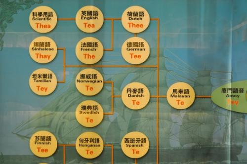 The tea. Почему чай? И почему tea? Этимология.