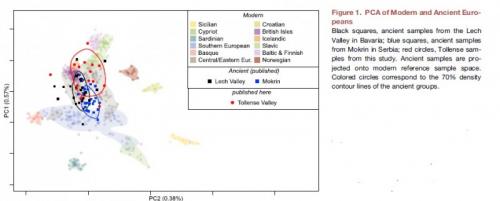 Древние люди начали пить молоко не ради лактозы. Когда ваши предки стали пить молоко во взрослом возрасте?