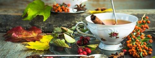 Облепиховый чай, как в якитории рецепт. Чаёк с облепихой — ну, что может быть вкуснее? 12