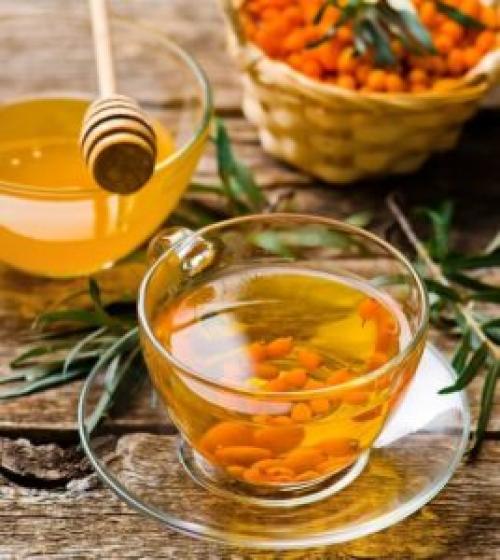 Облепиховый чай в френч прессе. Топ-14 популярных рецептов облепихового чая