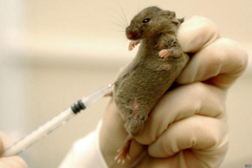 Про Молоко. 10 интересных фактов о молоке.