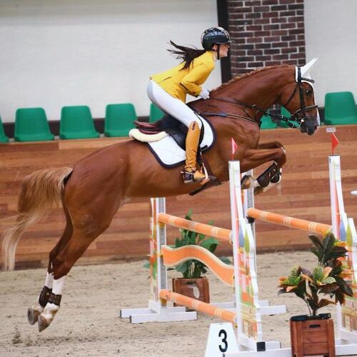 Что известно о личной жизни Софи Амали Клугарт. Модель, наездница и охотница. Кто такая Софи Дилуа