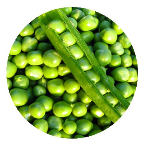 Вся правда о молоке и молочных продуктах. ЖИР (Окисленный холестерин). 05 Вся правда о молоке и молочных продуктах. ЖИР (Окисленный холестерин). 05