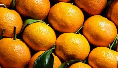 Mandarin страна. Страна родина мандаринов