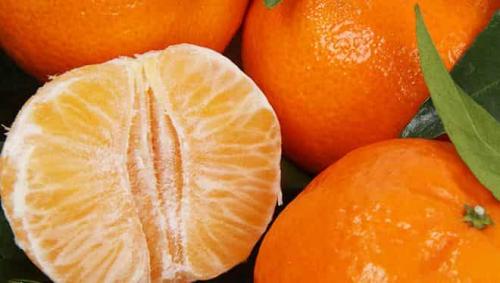 Mandarin страна. Страна родина мандаринов