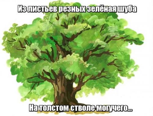 Загадка про дуб для взрослых. Загадки про дуб для детей