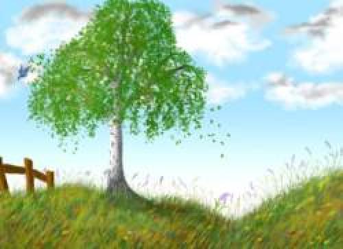 Загадка про клен для детей короткие. Загадки про клён для детей 07