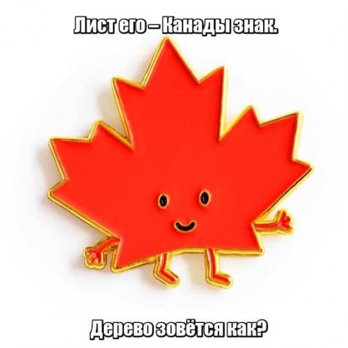 Загадка про клен для детей короткие. Загадки про клён для детей