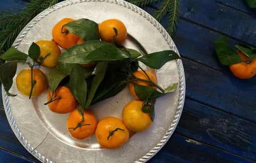 Где растут мандарины и откуда они появились. Страна родина мандаринов