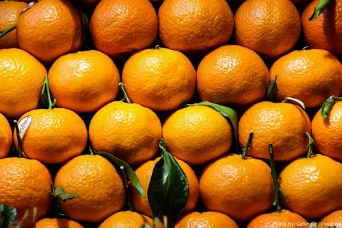 About mandarin fruit. Interesting facts about mandarin oranges