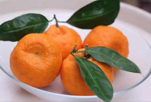 Какие виды мандаринов бывают. Классификация сортов мандарина