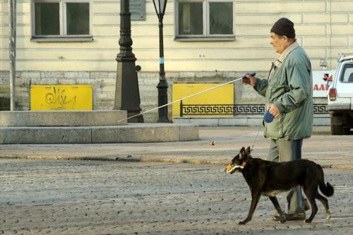 Топ-10 фантастических фактов о лисах. Факты о домашних лисах. 10 интересных фактов о лисах 10