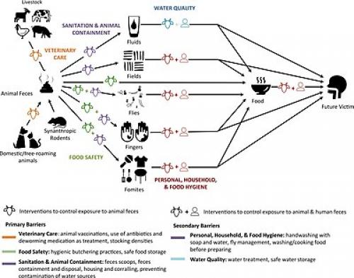 Не все больные одинаково заразны: разные заболевания и их риски 11