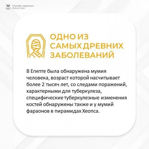 Как защитить себя от заразных заболеваний. Как уберечь себя от инфекций?